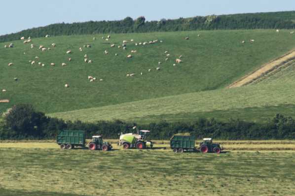 26 May 2017 - 17-33-33.jpg
While many are heading to the bub, the farmers head to the fields for a bit of forage harvesting. This is in the field above the Golf ouse in Kingswear.
#KingswearFarming #ForageharvestingKingswear